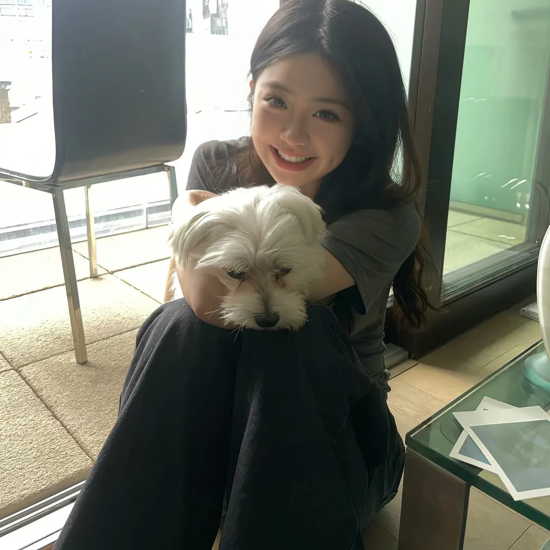 激光鹰